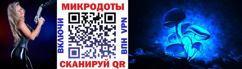 купить наркотик Устюжна Галлюциногенные грибы Cubensis