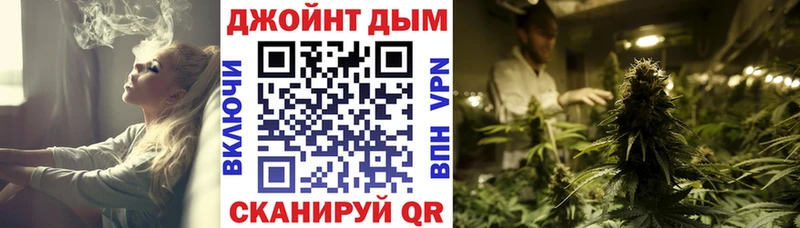 Каннабис OG Kush  Устюжна 